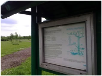vrijheidsbos-entree