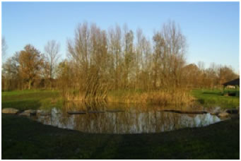 vrijheidsbos-vijver